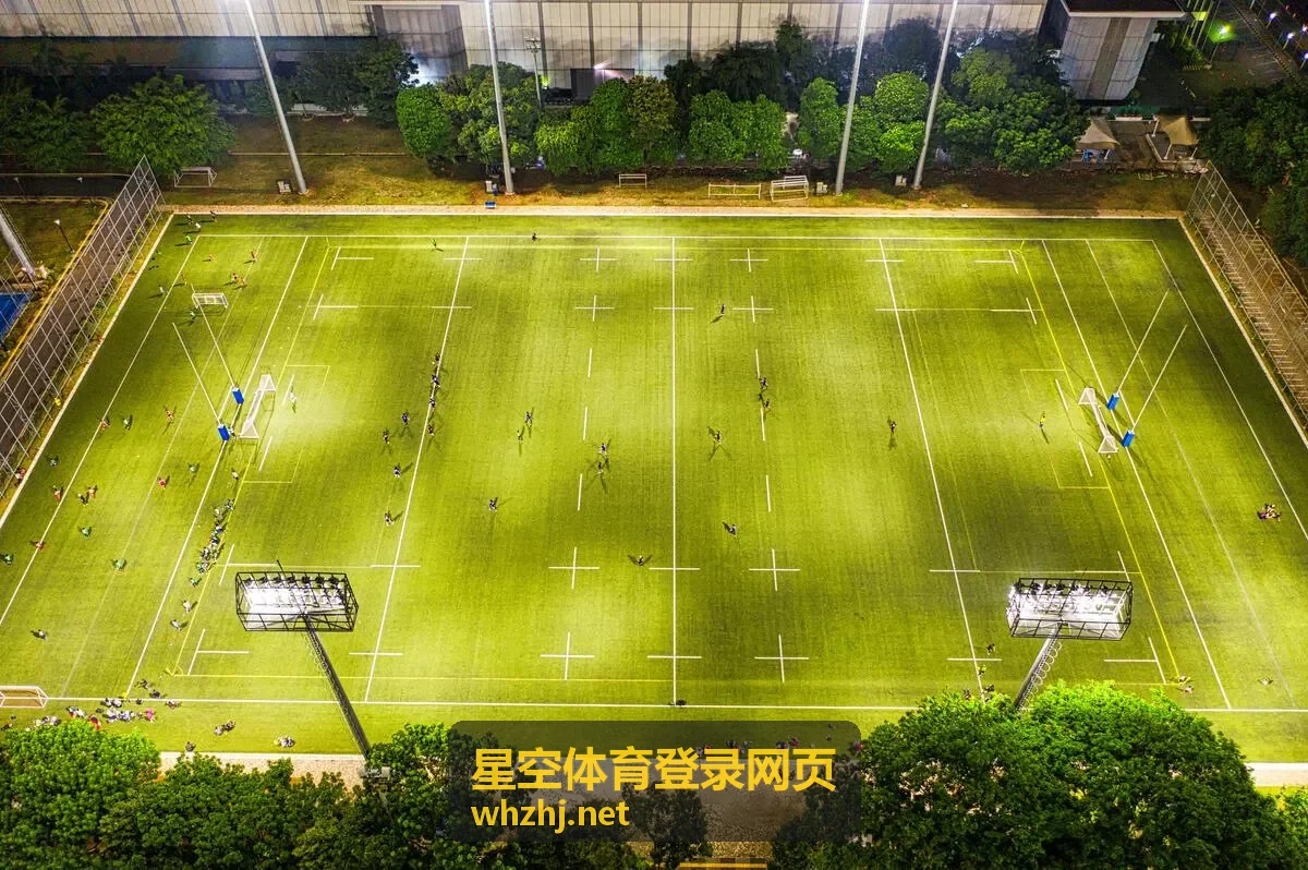 星空体育登录网页登录成功后跳转与状态提示示意封面