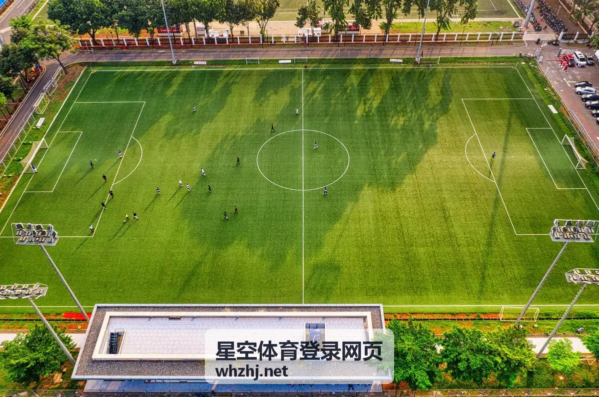 星空体育登录网页公共电脑登录后清理步骤条目封面