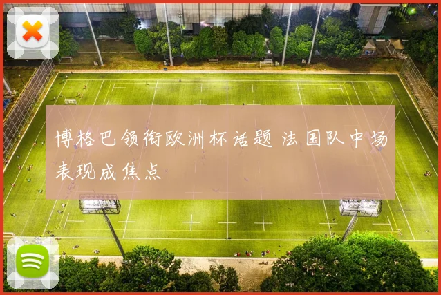 博格巴领衔欧洲杯话题 法国队中场表现成焦点