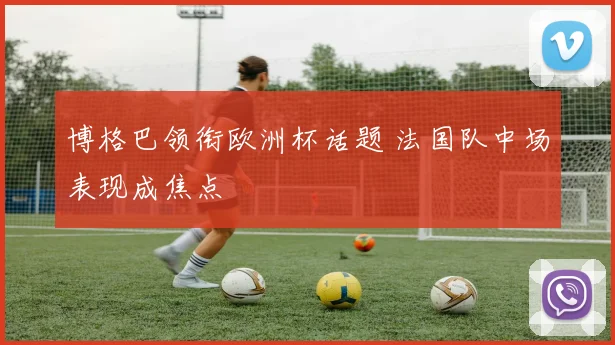博格巴领衔欧洲杯话题 法国队中场表现成焦点