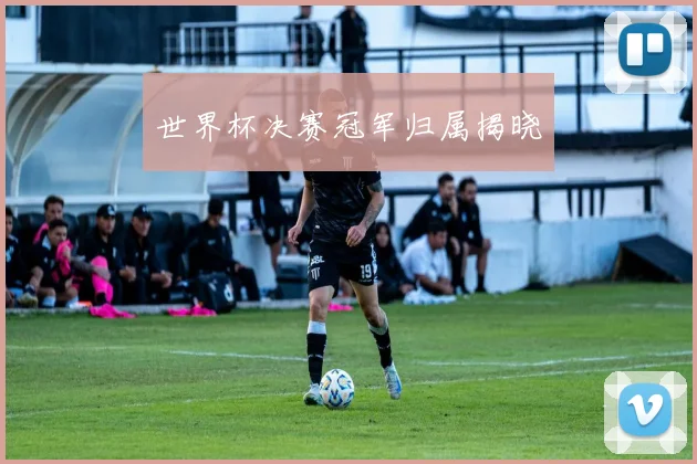 世界杯决赛冠军归属揭晓
